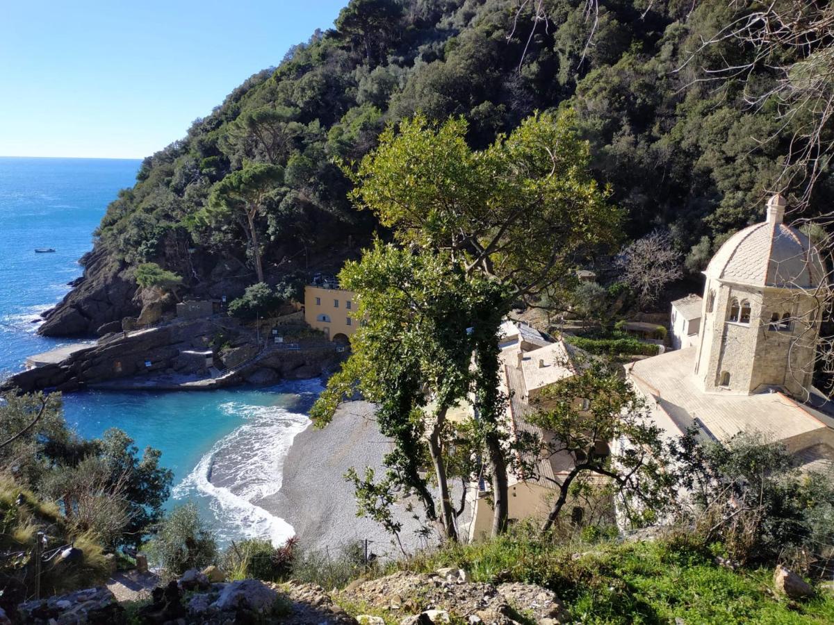 Casaviva - Magical Bilo In Camogli Apartment Exterior foto